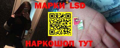 spice Аргун