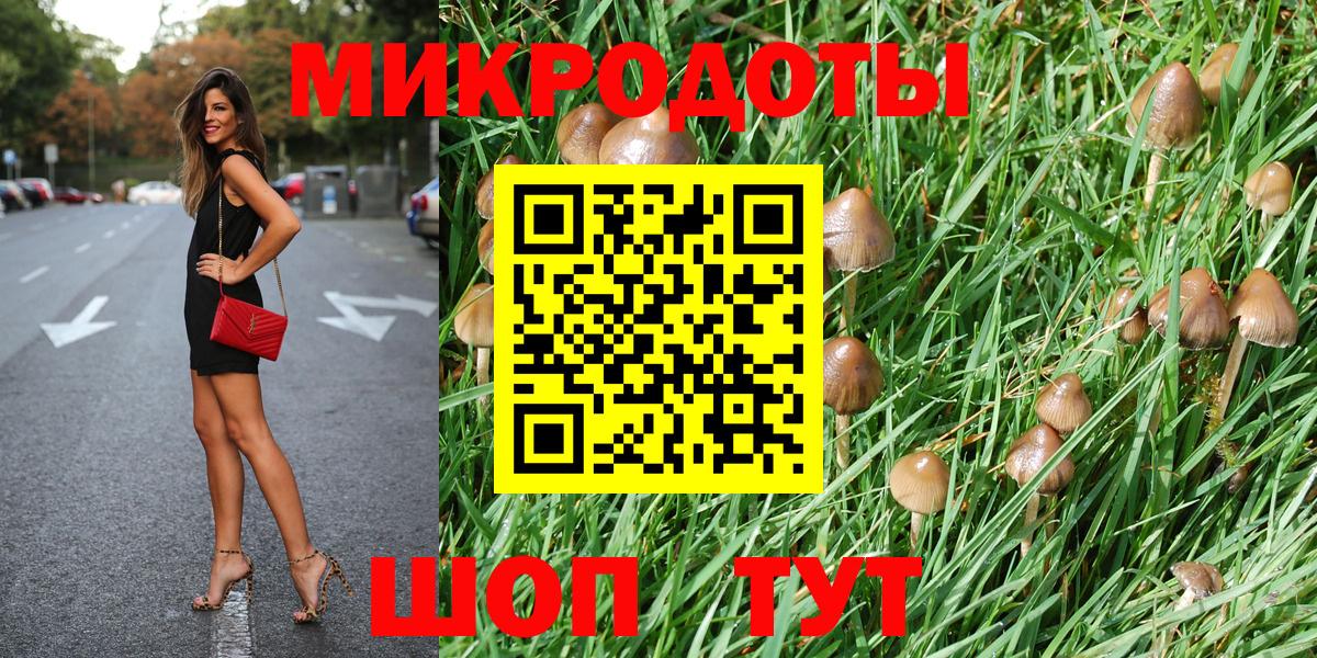 Псилоцибиновые грибы Psilocybe Аша